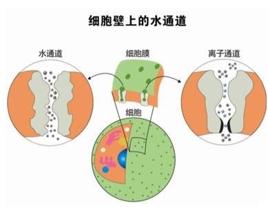 赏金船长·PG(中国游)官方网站